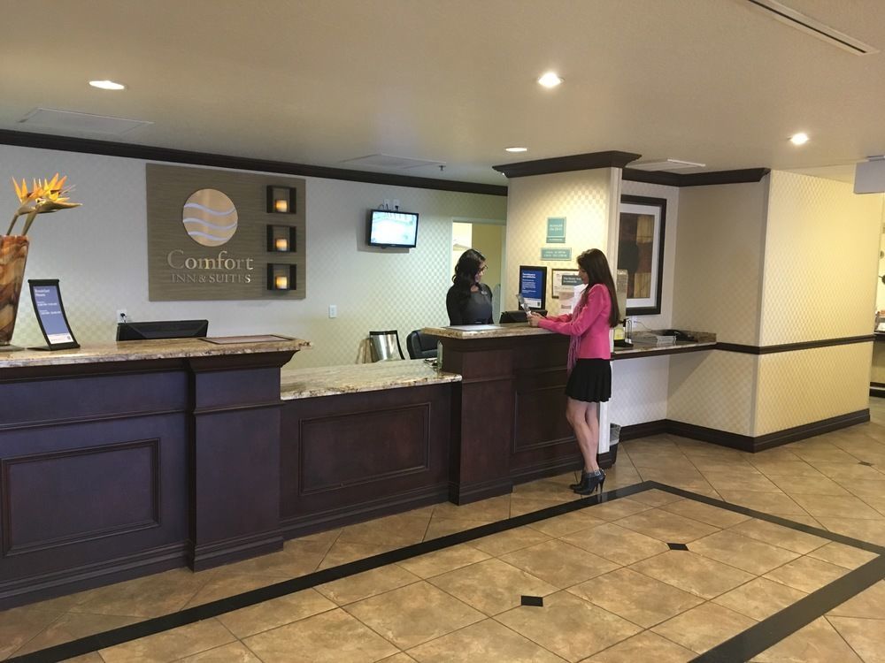 Comfort Inn & Suites Maingate South Davenport Exterior foto